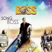 Boss 2013 cover image