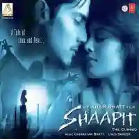 Shaapit 2010 cover image