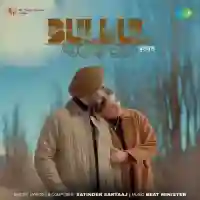 Bulbul - Satinder Sartaaj 2024 cover image