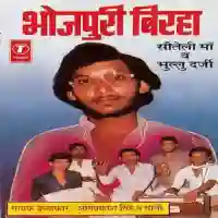 Birha Sauteli Maa (Netradaan) cover image