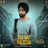 Ser Nai Palosda - Ammy Virk 2022 cover image