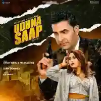 Udhna Saap - Afsana Khan 2021 cover image