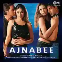 Mohabbat Naam Hai Kiska Ajnabee cover image