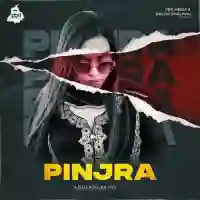 Pinjra - Aishleen Bains 2022 cover image