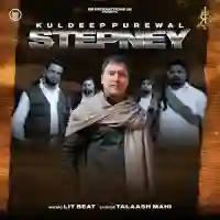 Stepney - Kuldeep Purewal 2022 cover image