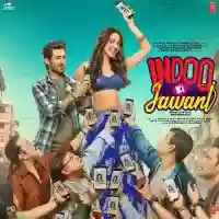 Indoo Ki Jawani 2020 cover image