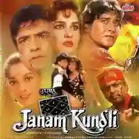 Janam Kundli 1995 cover image