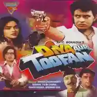 Diya Aur Toofan 1995 cover image