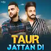 Taur Jattan Di Mashup - Dilpreet Dhillon 2022 cover image