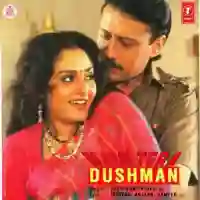 Main Tera Dushman 1989 cover image