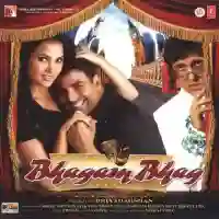 Bhagam Bhag 2006 cover image