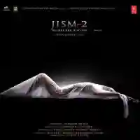 Jism 2 2012 cover image