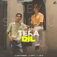 Tera Dil - Dev Sandhu 2021 cover image