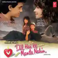 Dil Hai Ke Manta Nahin 1991 cover image