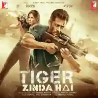 Tiger Zinda Hai 2017 cover image