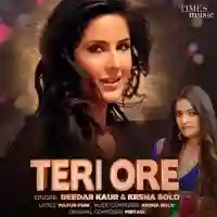 Teri Ore - Deedar Kaur 2021 cover image