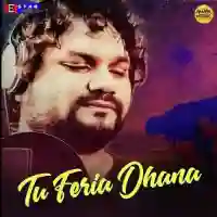 Tu Feria Dhana - Humane Sagar cover image