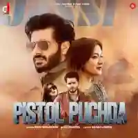 Pistol Puchda - Nav Dolorain 2021 cover image