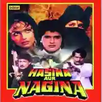 Hasina Aur Nagina 1996 cover image