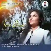 Tere Bina - Manreet 2021 cover image