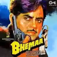 Bheema 1984 cover image