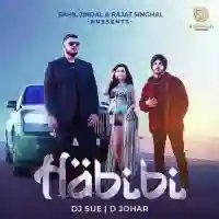 Habibi - Dj Sue 2022 cover image