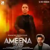 Ameena 2024 cover image