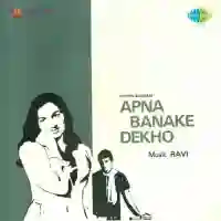 Tere Sadke Mila De Mera Yaar cover image