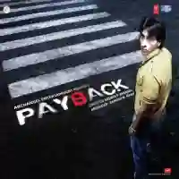 Payback 2010 cover image