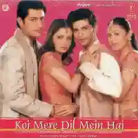 Koi Mere Dil Mein Hai 2005 cover image