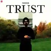 Trust - Nseeb 2022 cover image