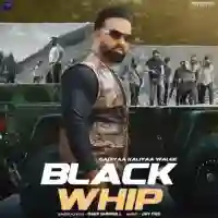 BLACK WHIP - Deep Shergill 2024 cover image