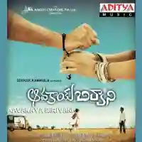 Aavakaya Biriyani 2008 cover image