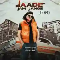 Jaade Jam Jange (Lofi) - Amit Saini Rohtakiya 2024 cover image