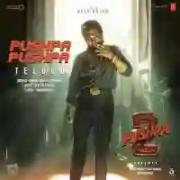 Pushpa 2 The Rule - Telugu 2024 cover image