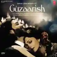 Guzaarish 2010 cover image