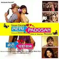 Meri Padosan 2009 cover image