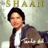 Tanha Dil... 2006 cover image