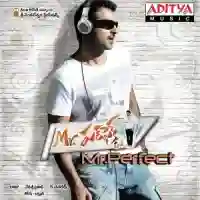 Mr. Perfect 2011 cover image