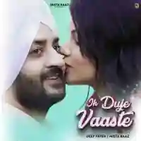 Ik Duje Vaaste 2024 cover image