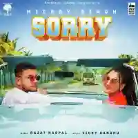 Sorry - Mickey Singh 2021 cover image