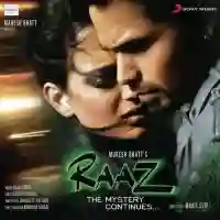 RAAZ - The Mystery Continues 2009 cover image