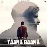 Taana Baana - Amarinder 2022 cover image