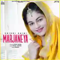 Marjaneya - Vridhi Saini 2021 cover image