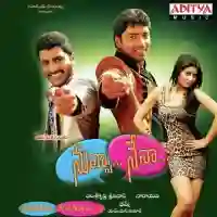 Nuvva Nenaa 2012 cover image