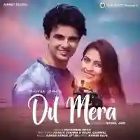 Dil Mera - Mohammed Irfan 2022 cover image