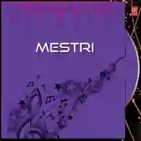 Mestri 2009 cover image