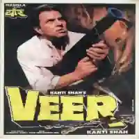 Veer 1995 cover image