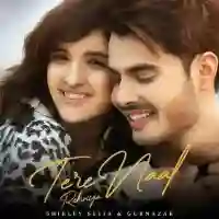 Tere Naal Rehniya - Shirley Setia 2021 cover image