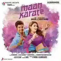 Maan Karate 2014 cover image